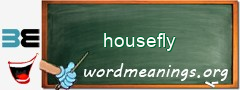 WordMeaning blackboard for housefly